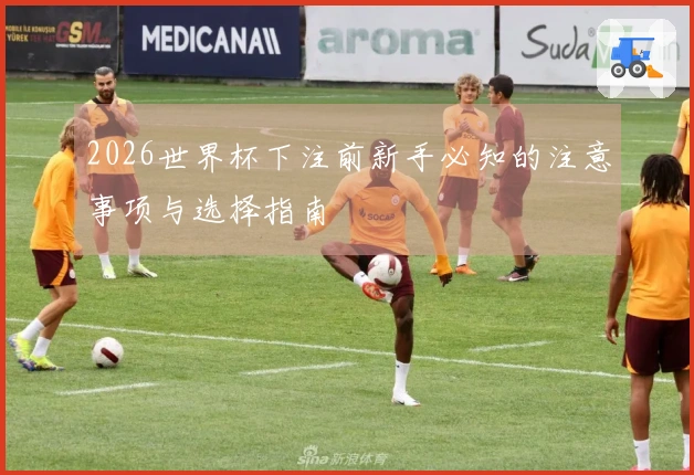2026世界杯下注前新手必知的注意事项与选择指南