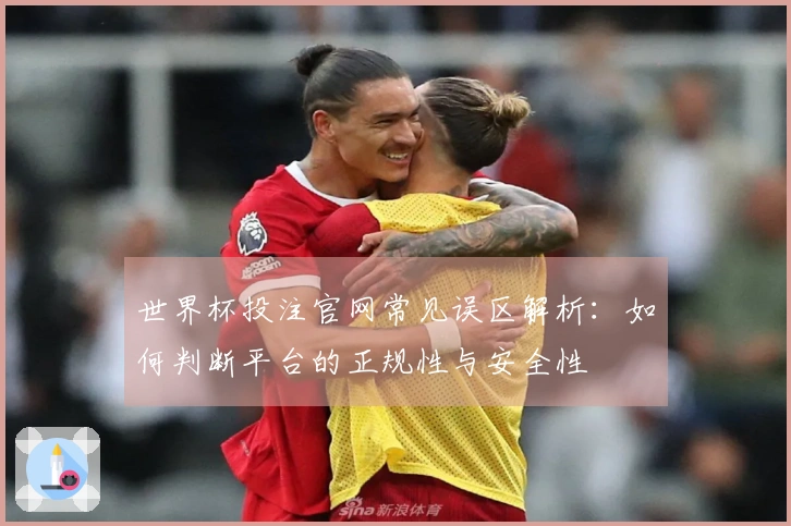 世界杯投注官网常见误区解析：如何判断平台的正规性与安全性